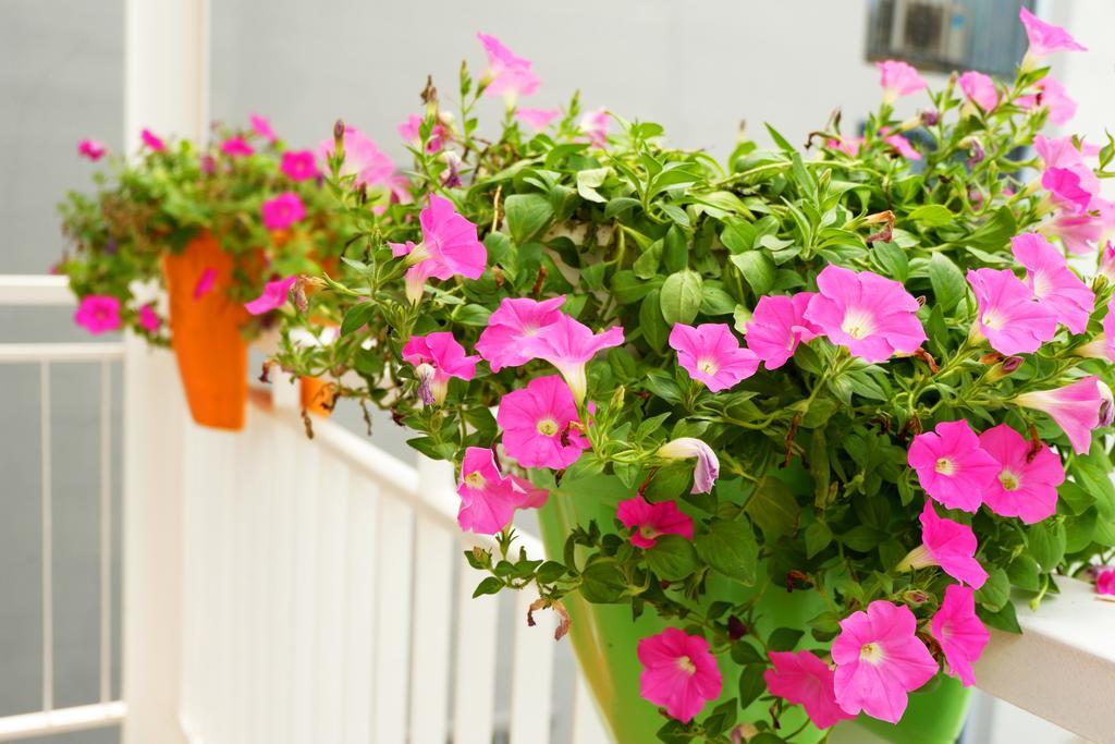 Saigon Corner House Apartment TP. Hồ Chí Minh Ngoại thất bức ảnh