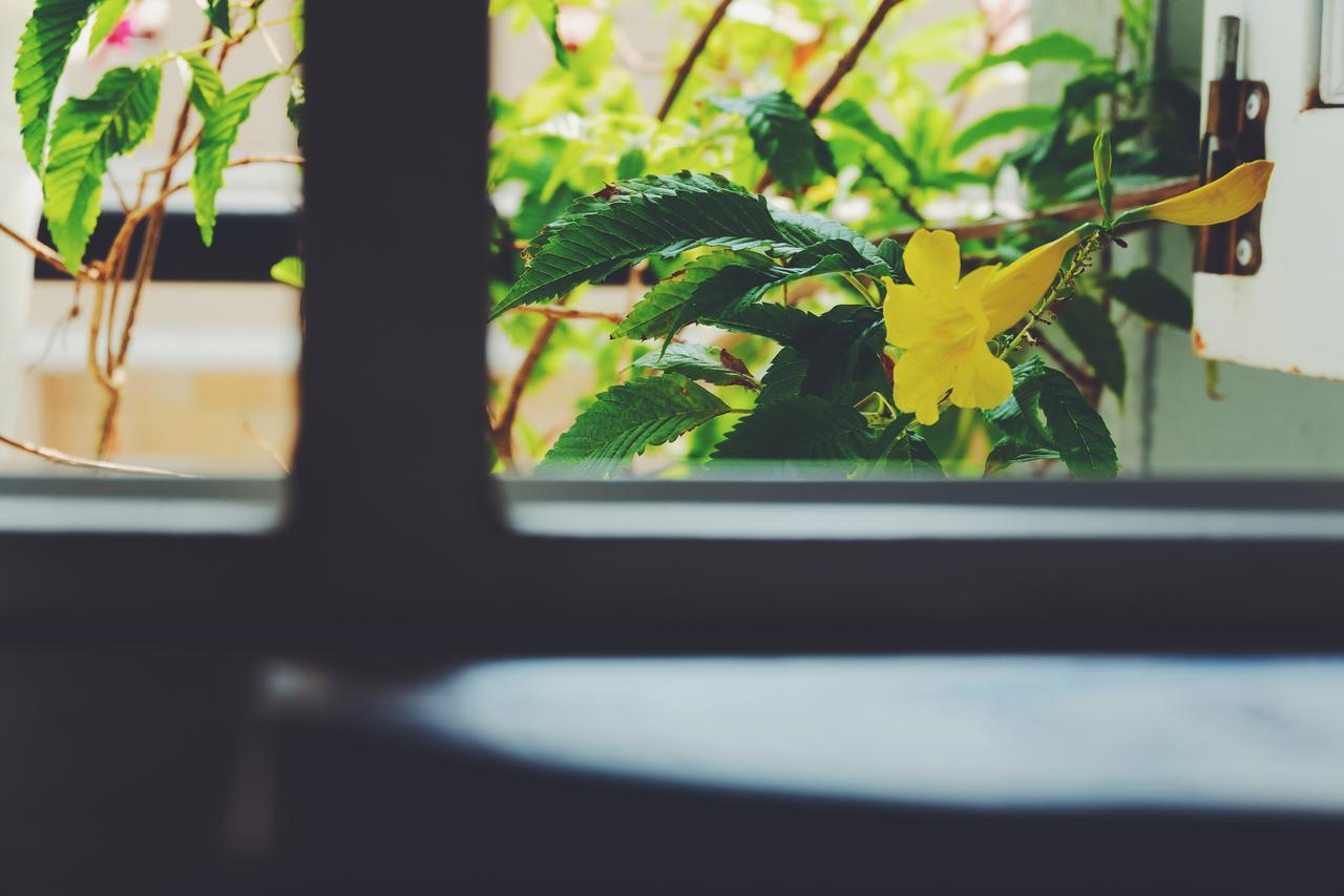 Saigon Corner House Apartment TP. Hồ Chí Minh Ngoại thất bức ảnh